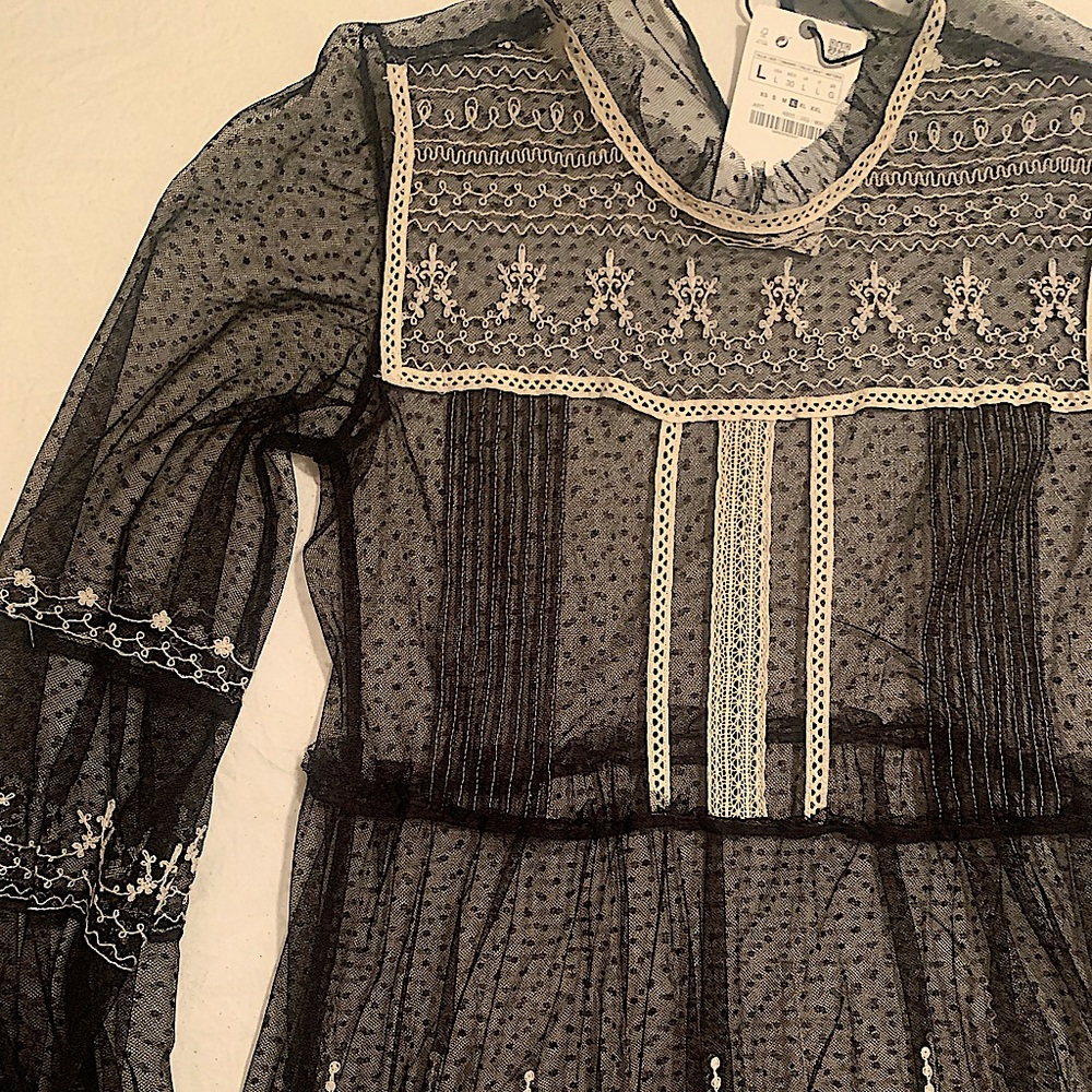 Long Sheer Lace Top/Dress